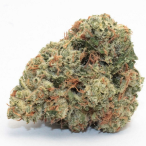 Mimosa